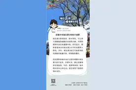 【每日“医”招】适量补充维生素D有助于减肥图片