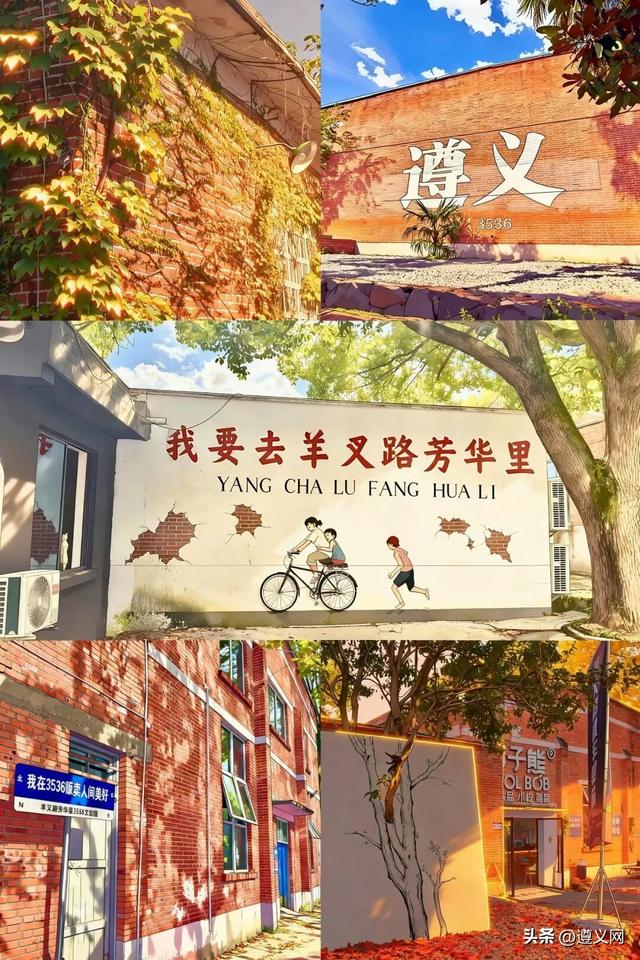 悦·遵义丨享暖冬 这条「城区漫游指南」，藏着最治愈的红城烟火！