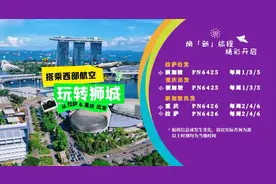 国际航线+1 重庆飞新加坡单程票价低至350元（不含税）图片