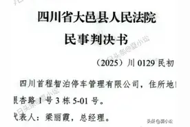 法院判决四川车主杨某某，因拖欠938元路边智慧停车费败诉图片