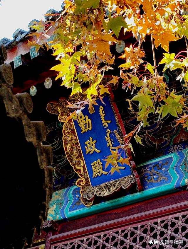 以我4次经历，带你打卡北京香山，北京的朋友请补充