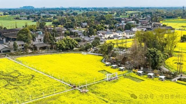 保护规划获批，崇州这个历史文化名村将有新动作！