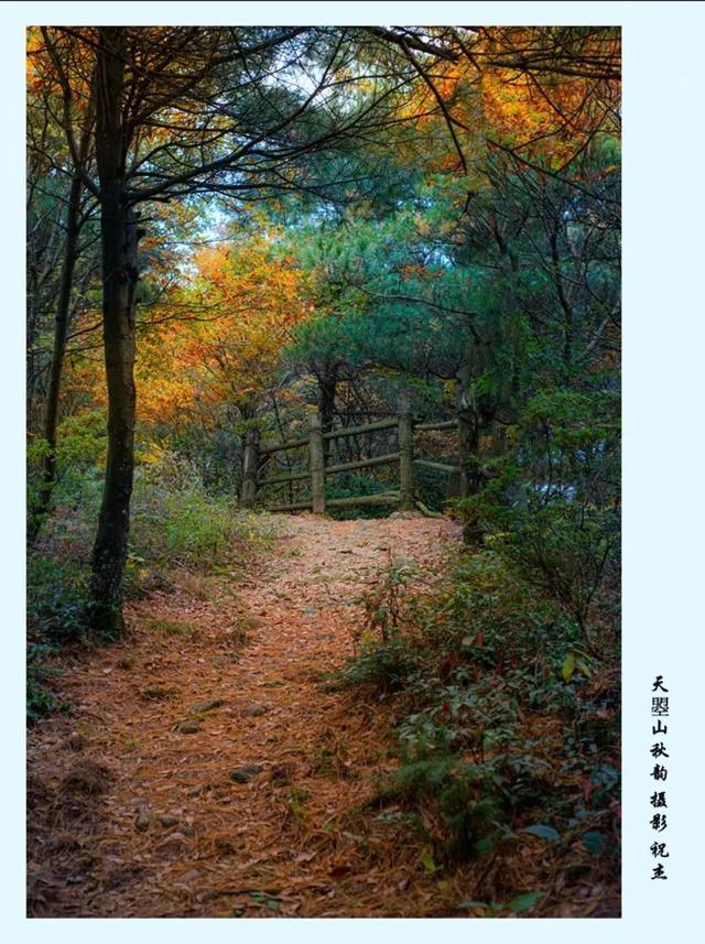 2025利州秋色，每一帧都是限定浪漫