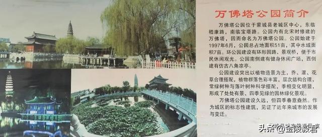 绿阳春拂柳蒙城 三千年文化朝圣