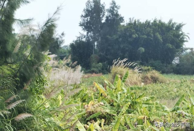 骑行惠来县的许多第一次，双龙连续三年千里走双骑1