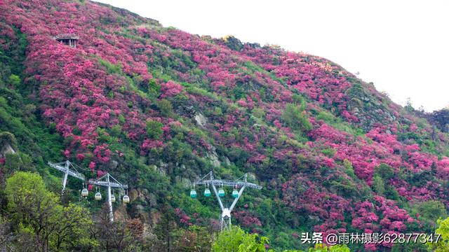 在黄陂，这样的美景你见过吗？