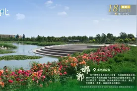 这么近 那么美 周末到河北——邯郸·盛水湖公园图片