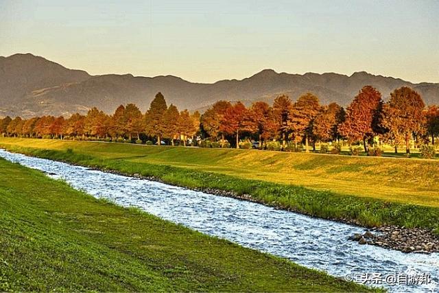 秋天已渐渐带来凉意，让有些树叶渐渐有了「红颜」