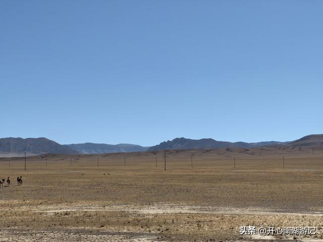 喀什经317到成都，改则-尼玛，途径大地之树、洞措湿地自然保护区