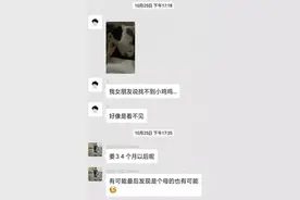 【性别鉴定】猫咪性别鉴定指南：看蛋蛋什么的，都弱爆了！图片