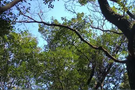 宁波民办高中费用清单图片