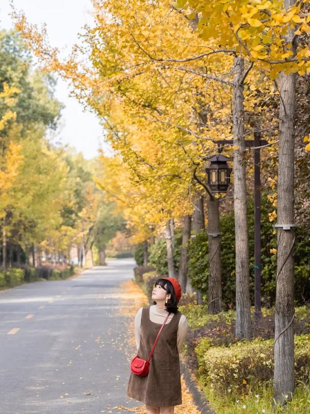 绝了！黄陂最被低估的宝藏赏秋地！