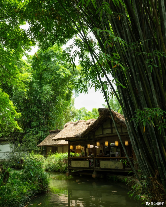 成都6天5晚吃住行玩避坑全攻略