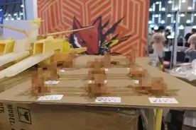 《不堪入目！展览会公然展出低俗涉黄手办，吓坏十岁女生和家长》图片