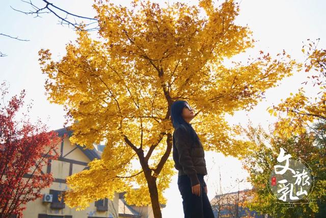 多福山限定！马上出发，奔赴一场绚烂~