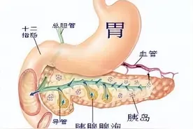 胰腺炎就是胰腺发炎了，不必担心？图片