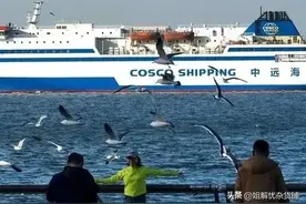 辽宁这条街火了！蓝天白云，海鸥游轮，央视也来报道了——图片