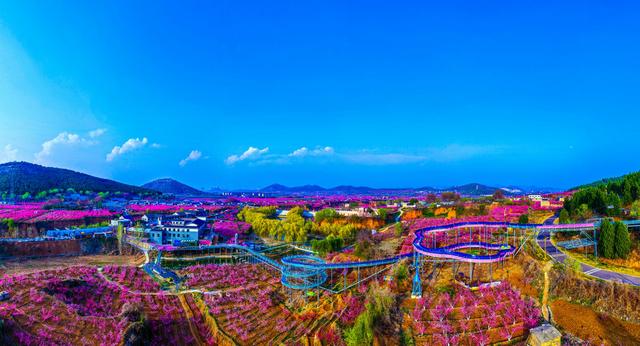 肥城桃花开成海 桃源春风醉若仙