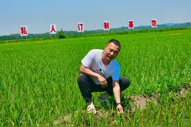 村里有了年轻人｜“米二代”张帅：回家乡做个“新农人”图片