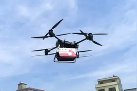 2025海口火山荔枝月启动图片