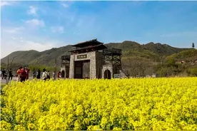 女神节免票！赴一场春日之约!图片