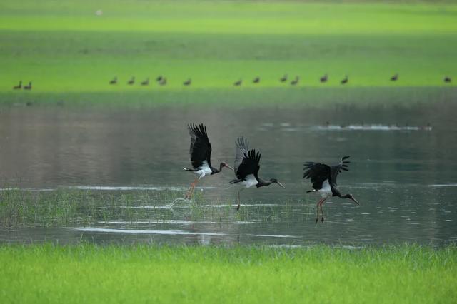 “中国最美县域”！长治沁源县上榜！