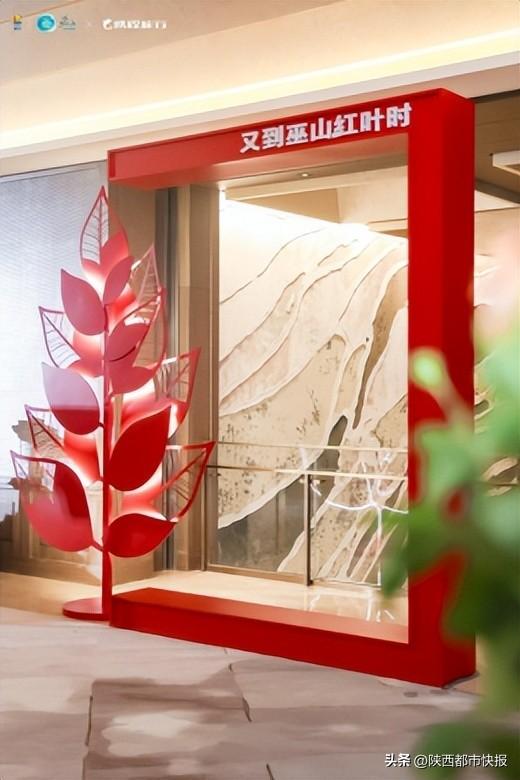 又到巫山红叶时：以叶为媒，巫山在渝向世界发出赏秋盛邀