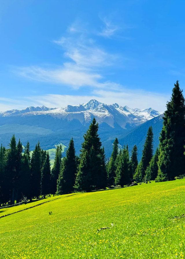 五月，推荐几个全国最适合出游的地方，收藏这一份就够了！