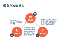 城乡居民养老一次性补缴已办理成功，原来补缴的流程这么简单！图片