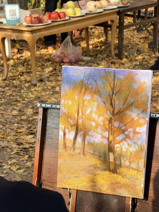 金黄秘境藏乡野！菏泽鲁西新区马岭岗镇慕禾生态园银杏成秋日打卡顶流