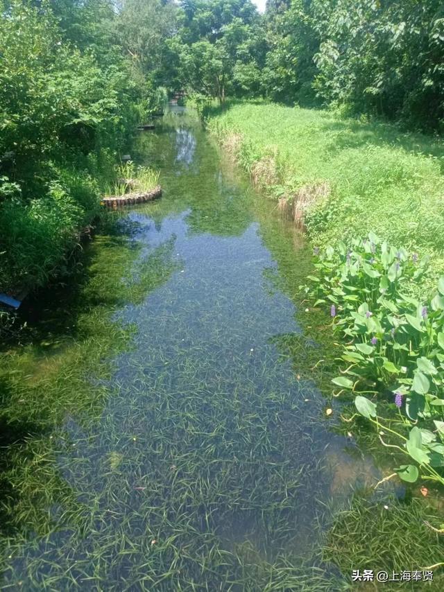 漫步河畔•贤美生活