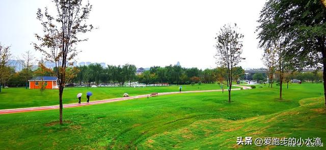 西安“呼伦贝尔”藏不住了！