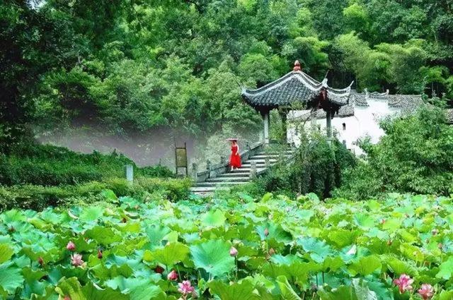 浙江金华20个最美中国传统村落，藏着婺州秀丽繁华遗风