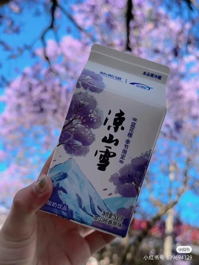 比大理浪漫！比昆明更近！高铁直达阳光小城，2万株蓝花楹美疯！观海登山，美食吃到爽！