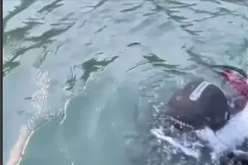 重庆三人钓鱼溺亡后续，遗体已打捞，母亲崩溃痛哭图片