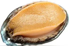 分享鲍鱼的十种简单做法，汁浓味鲜，饭店里都吃不到图片