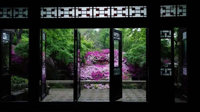 无锡这座绝美花园，免费开放了