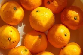 自制陈皮“七步骤”图片