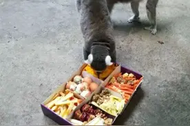 享受地暖泡热水澡！野生动物这样过冬图片