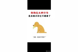 狗狗的这五种行为，其实是它在暗示你了，建议点赞收藏图片