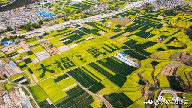大美天水 | 花海上新！来天水，看“油”画里的春天~
