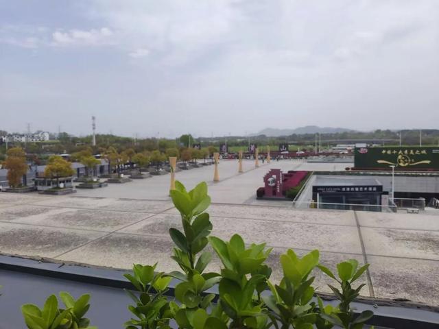 漫步黄山松掩山丛树杪，云隐仙踪徒步蹬道千阶