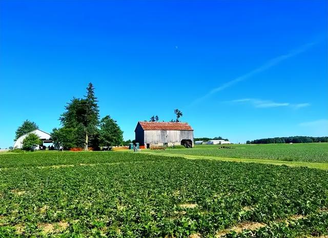 挖疯了！英格兰“宝藏”量创纪录！罗马“耳勺”比黄金还值钱？