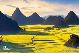 国内最早登场的春色，已进入最佳观赏期！这条自驾线随时走起！图片