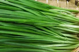 包韭菜饺子，牢记“2放3不放”，教你正确方法，韭菜翠绿还不出水图片