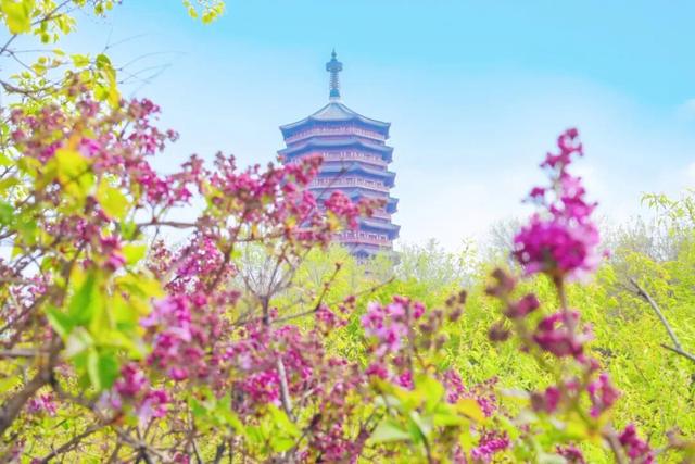 春日漫游正当时！清明假期，105万人次游客打卡丰台