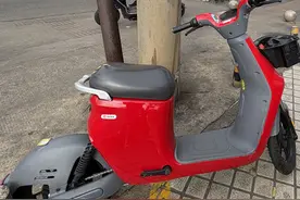 海口街头现无牌共享电动车，交警部门：骑行上路，罚！图片