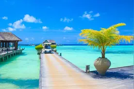 徐小明：周四操作策略图片