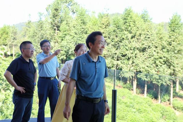 “祁驿·群芳最”开馆，三开“茶盖”开启茶旅融合新篇章