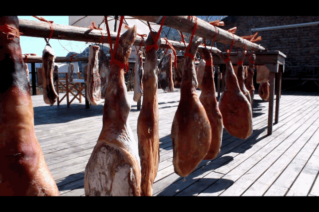 在临安，怎样才算“真土豪”？答案：买猪送房！